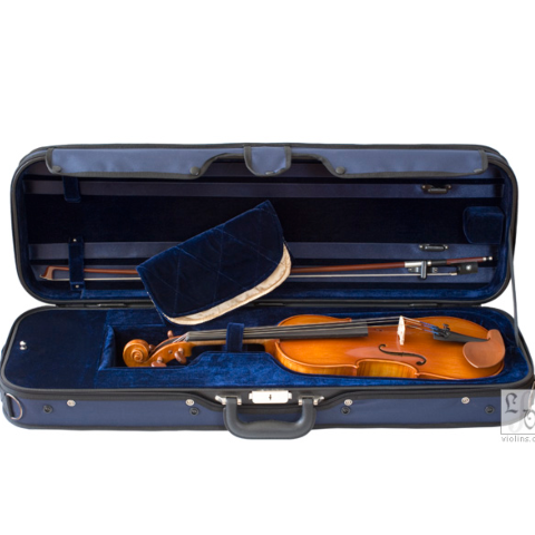 Eastman violin case deals