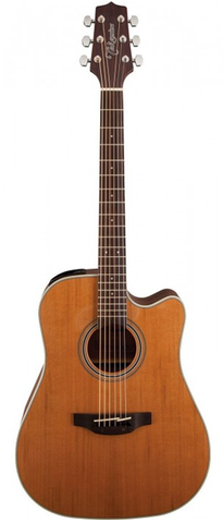 Takamine GD20CE-NS Dreadnaught Acoustic-Electric Guitar, Natural