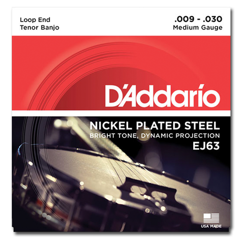 Banjo - D'Addario EJ63 Nickel Plated Loop End Tenor Banjo Set, Medium