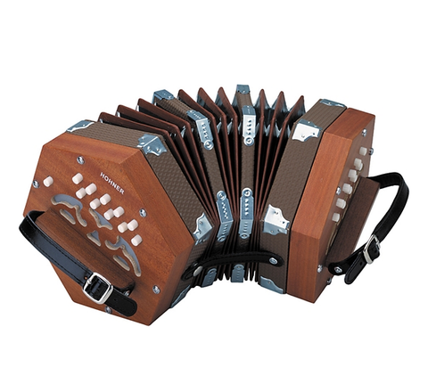 Hohner D40 Concertina