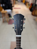 "PREVIOUSLY ROCKED" - Sire Larry Carlton G5A