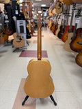 "PREVIOUSLY ROCKED" - Norman B20 Folk W/Hardshell Case