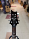 "PREVIOUSLY ROCKED" -Used PRS Guitars SE DGT Electric Guitar with Gig Bag, Birds Inlay - McCarty Tobacco Sunburst