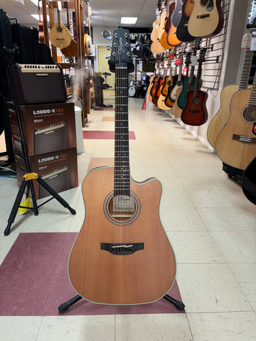 "PREVIOUSLY ROCKED" - Takamine GD20CE - Natural Satin