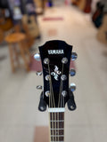 "PREVIOUSLY ROCKED" - YAMAHA APX500ll