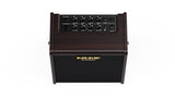 NUX AC-25 25W 6.5" Acoustic Guitar Combo Amp