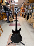 "PREVIOUSLY ROCKED" -Used PRS Guitars SE DGT Electric Guitar with Gig Bag, Birds Inlay - McCarty Tobacco Sunburst