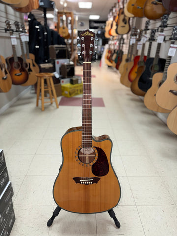 "PREVIOUSLY ROCKED" - Washburn D46SCE Electro-Acoustic Guitar