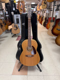 "PREVIOUSLY ROCKED" - Norman B20 Folk W/Hardshell Case