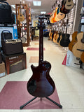 "PREVIOUSLY ROCKED" - PRS SE 245 w/Gig Bag