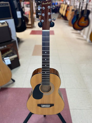 "PREVIOUSLY ROCKED" - Beaver Creek BCTD401L Guitar