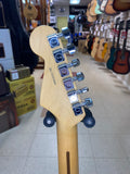 "PREVIOUSLY ROCKED" - American Professional II Stratocaster w/Hardshell Case