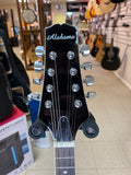 "PREVIOUSLY ROCKED" -Alabama ALM20E Mandolin