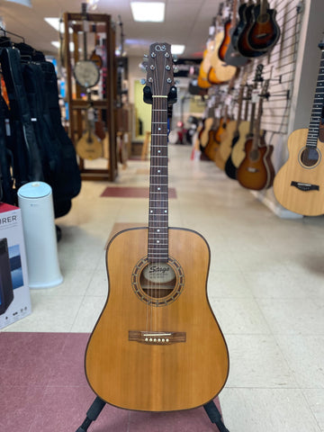 "PREVIOUSLY ROCKED" -Stage Acousitc Guitar