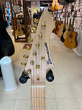 "PREVIOUSLY ROCKED" -Barracuda Strat Copy