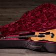 Taylor 214ce Plus Rosewood/Spruce Acoustic/Electric Guitar with Gigbag