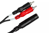 Hosa Stereo Breakout 1/4'' TRS-F to Dual RCA-M Y-Cable