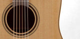 Takamine P3DC Pro Series 3 Acoustic/Electric Dreadnought