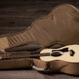 Taylor GS Mini Sapele Acoustic Guitar with Gig Bag