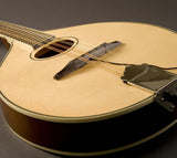 Fishman M-400 Nashville Series Flat Top Mandolin Pickup