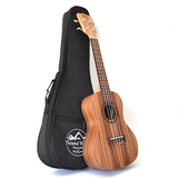 Twisted Wood AR-800C Aurora Series Concert Ukulele