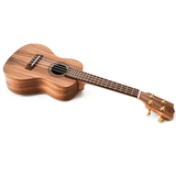 Twisted Wood AR-800C Aurora Series Concert Ukulele