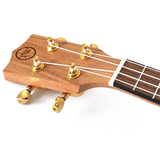 Twisted Wood AR-800C Aurora Series Concert Ukulele