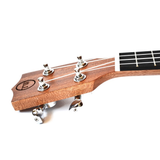 Twisted Wood PI-100T Pioneer Series Tenor Ukulele