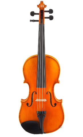 Gewa Aspirante Venezia Violin Outfit, Oblong Case, 4/4 Scale